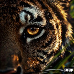 Neue Regeln (Explicit)