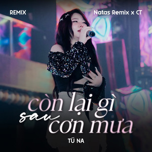 Còn Lại Gì Sau Cơn Mưa (Remix)