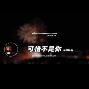 可惜不是你/大頭針封面