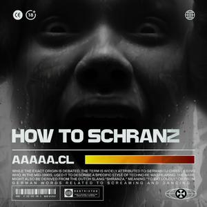 HOW TO SCHRANZ
