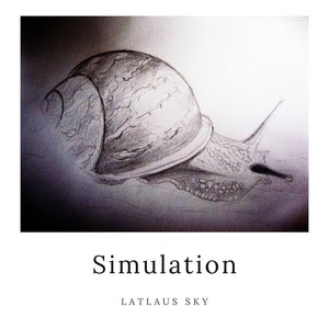 Simulation