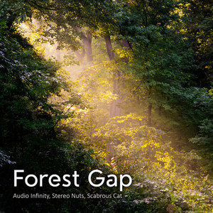 Forest Gap