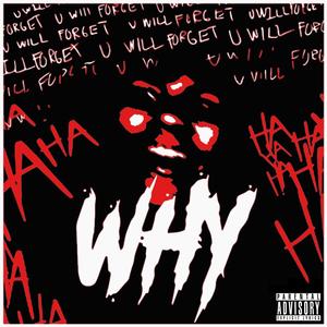 WHY (feat. Bryoza & Infinite) [Explicit]