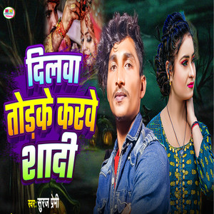 Dilwa Torke Karwe Shadi