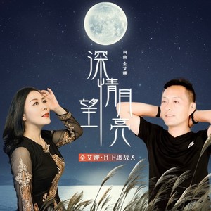 深情望月亮 (对唱版)封面