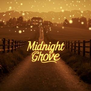 Midnight Groove