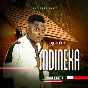 Ukufela othandweni (feat. Shenge waseHlalaNkosi) (Radio Edit)