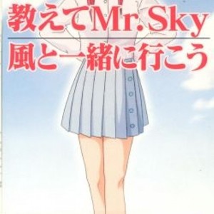 教えてMr.Sky