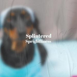 Splintered Sprightliness