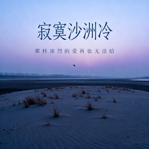 寂寞沙洲冷 (那样浓烈的爱再也无法给)