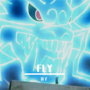 FLY