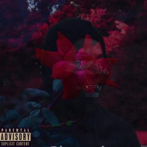 Friction Burns (Explicit)