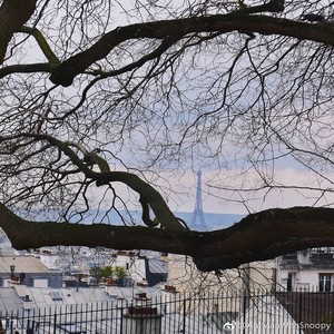 Fall in Love at the First Sight (with guitar)