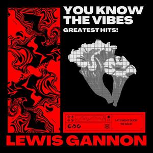 You Know The Vibes Greatest Hits (Explicit)