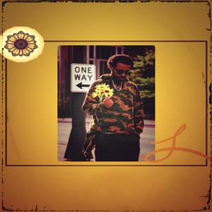 MoneyGrow (Explicit)