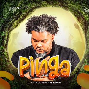 DJ RICARDOPEMBA (PINGA) (feat. SAMOT) (Explicit)