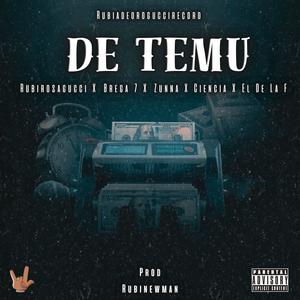 DE TEMU (feat. Brega 7, Zunna, El De La F, La Ciencia & RubiNewman prod) (Explicit)
