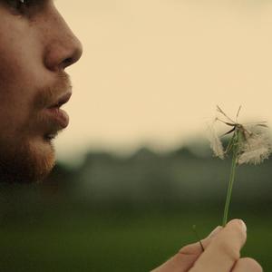 Dandelions (Explicit)