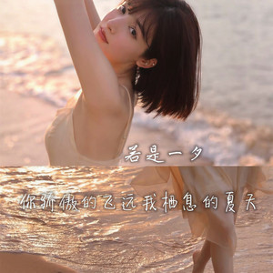 你骄傲的飞远我栖息的夏天