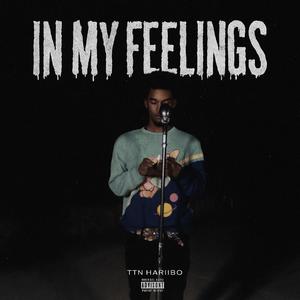 In My Feelings (Explicit)