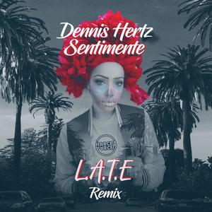 Sentimente (L.A.T.E Remix)