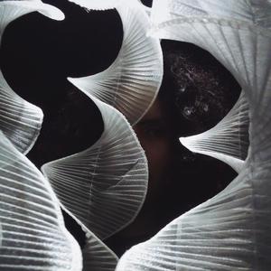 en el espejo / somos ajenos a nuestro elemento (unmastered|Explicit)