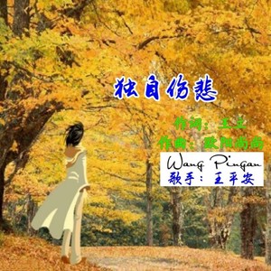 王平安 - 独自伤悲