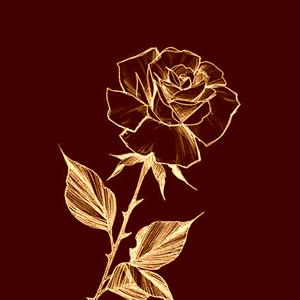 Rakastuin Mä Boomeriin (feat. Laiska Grouvinen) (Explicit)