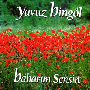 Baharım Sensin