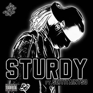 STURDY (feat. Seiyitaintso) (Explicit)