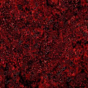 knockback (feat. Hesii) (Explicit)