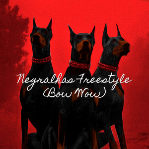 Negralhas Freestyle (Bow Wow) [Explicit]