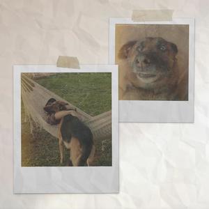 For my lil dog named Krul