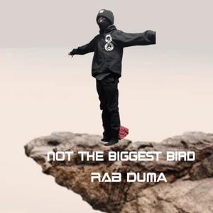 Not the biggest bird