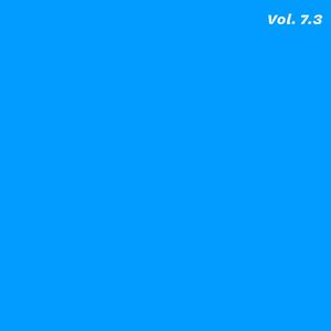 Vol. 7.3