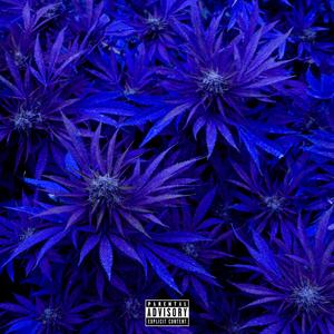 Diesel Cypher(feat. FK Fre$h & Hilroy) (Explicit)