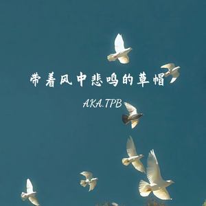 带着风中悲鸣的草帽