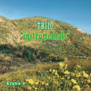 instrumentals