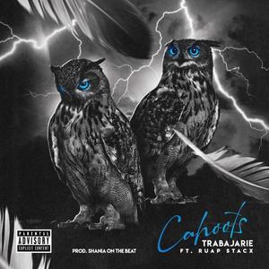 Cahoots (feat. Ruap Stacx & ShaniaOnTheBeat) [Explicit]