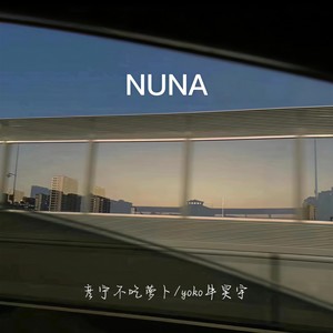 nuna 2.0