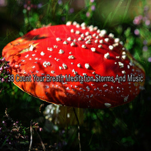 雷雨 - 好心情的洪流