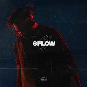 6FLOW (Explicit)