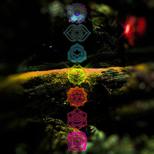 Sacral Chakra D