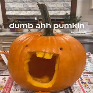 dumb ahh pumpkin