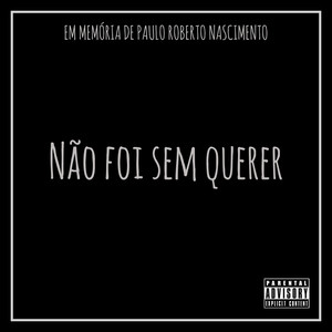 Não Foi Sem Querer (Explicit)