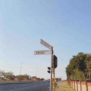 alone (live/pitched down)