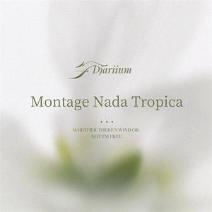 Montagem Nada Tropica(DJ越南卡点舞)