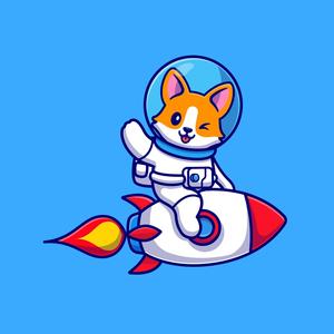 Space Corgi