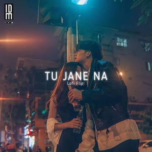 Tu Jaane Na (Lofi Version)