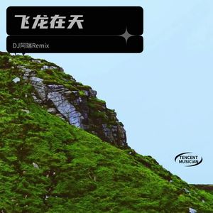 策马奔腾 (DJ阿瑞 remix|Remix)封面